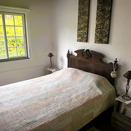 Adega Jb São Mateus