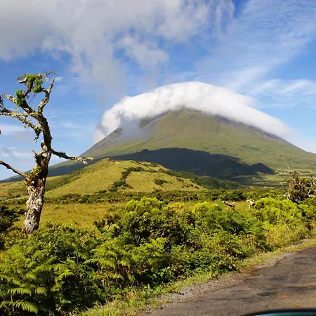 Adega Jb São Mateus