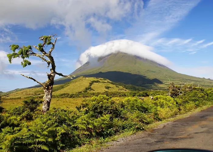 Adega Jb São Mateus