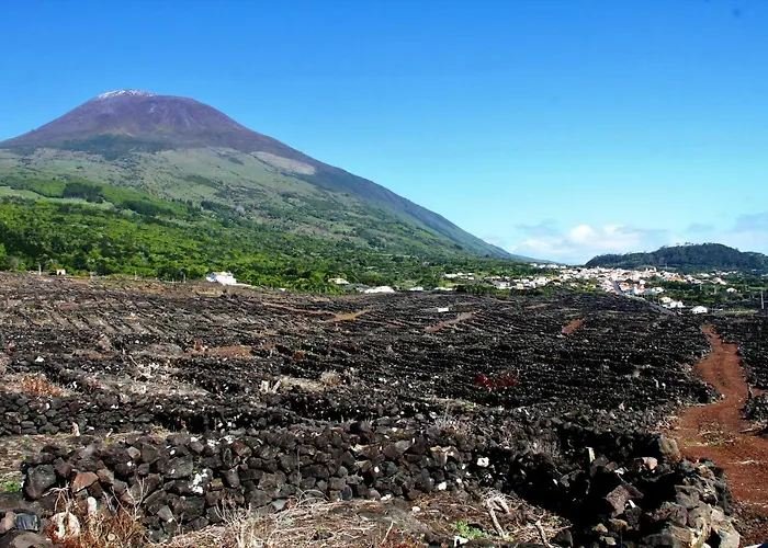 Сasa de vacaciones Adega Jb São Mateus