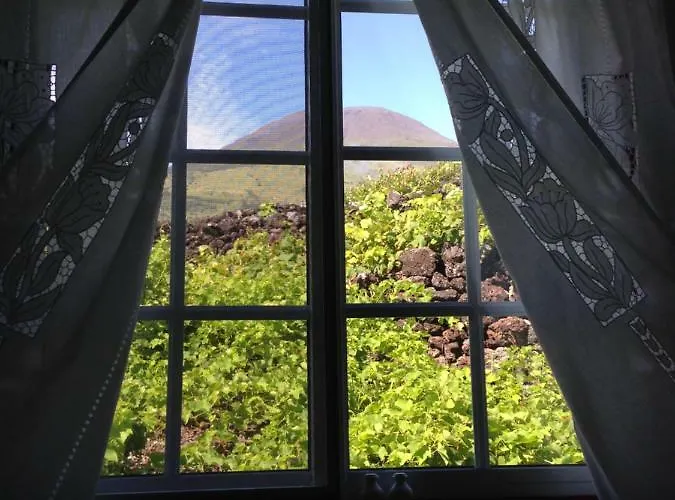 Adega Jb São Mateus