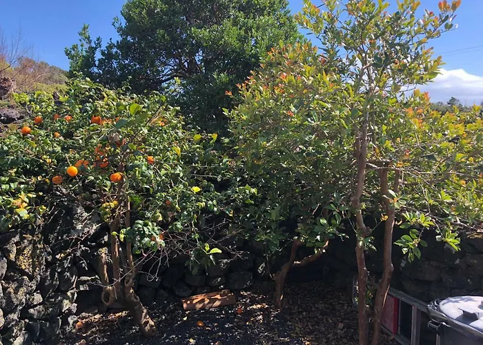 Adega Jb Сasa de vacaciones São Mateus