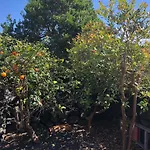 Adega Jb Holiday home Sao Mateus (Pico island)