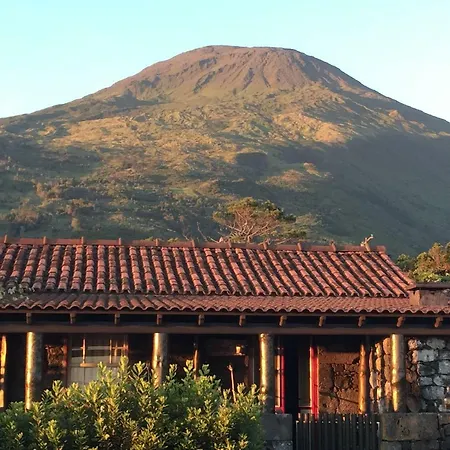 Adega Jb Feriehus São Mateus