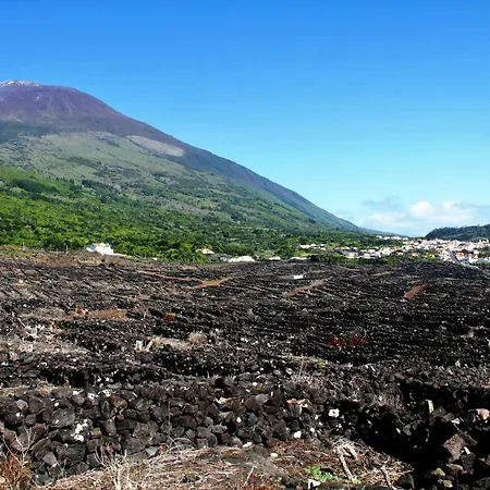 Feriehus Adega Jb São Mateus