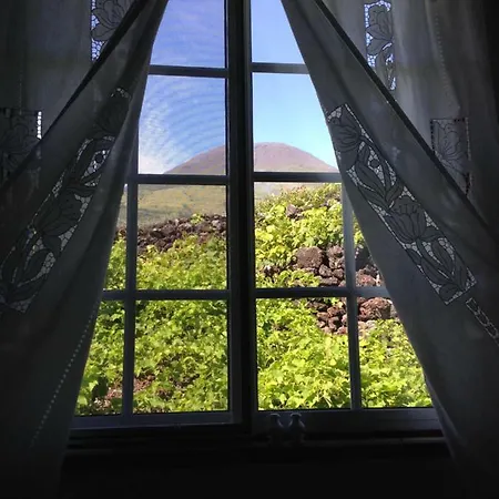 Adega Jb Sao Mateus (Pico island)