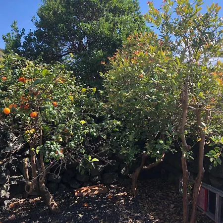 Adega Jb Holiday home Sao Mateus (Pico island)