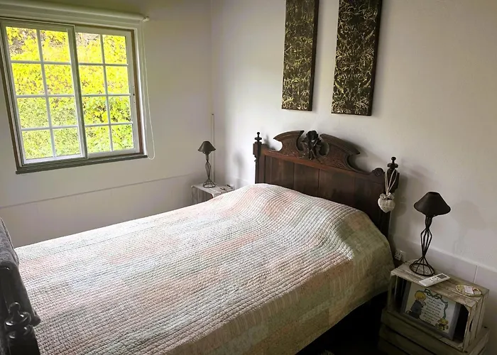 Adega Jb São Mateus